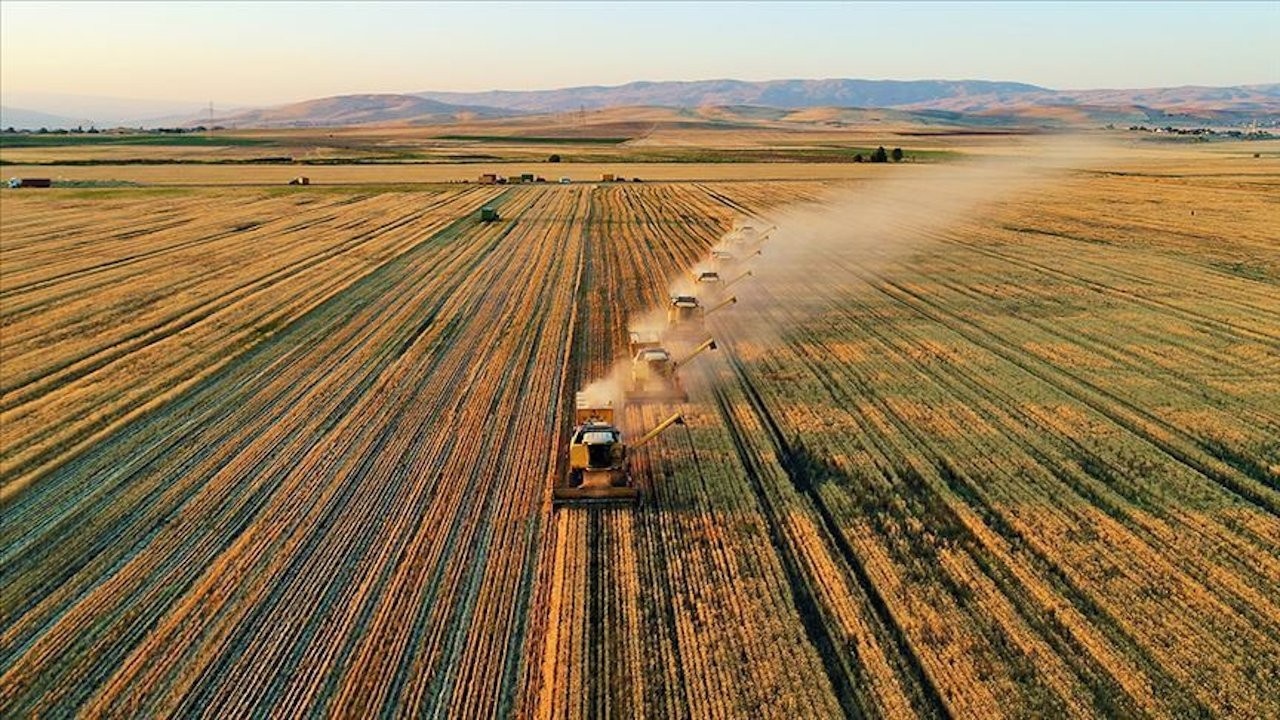Migros, Tarımda Doğrudan Üretici İşbirliği Modelini Genişletiyor
